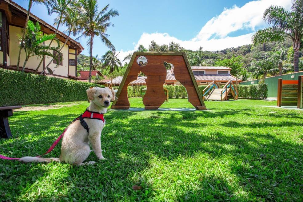 pet park (17).jpg