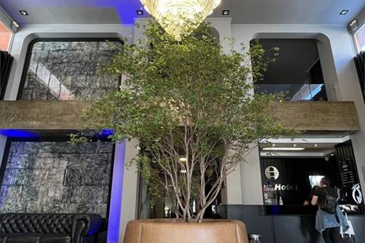 recep hotel (16).jpeg