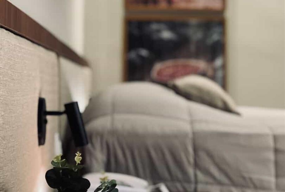 arara , beija-flor, asa branca  (1).jpg