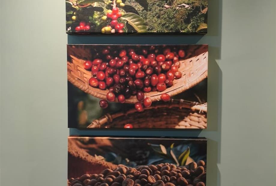 suíte executiva pcd - 106 (1).jpeg