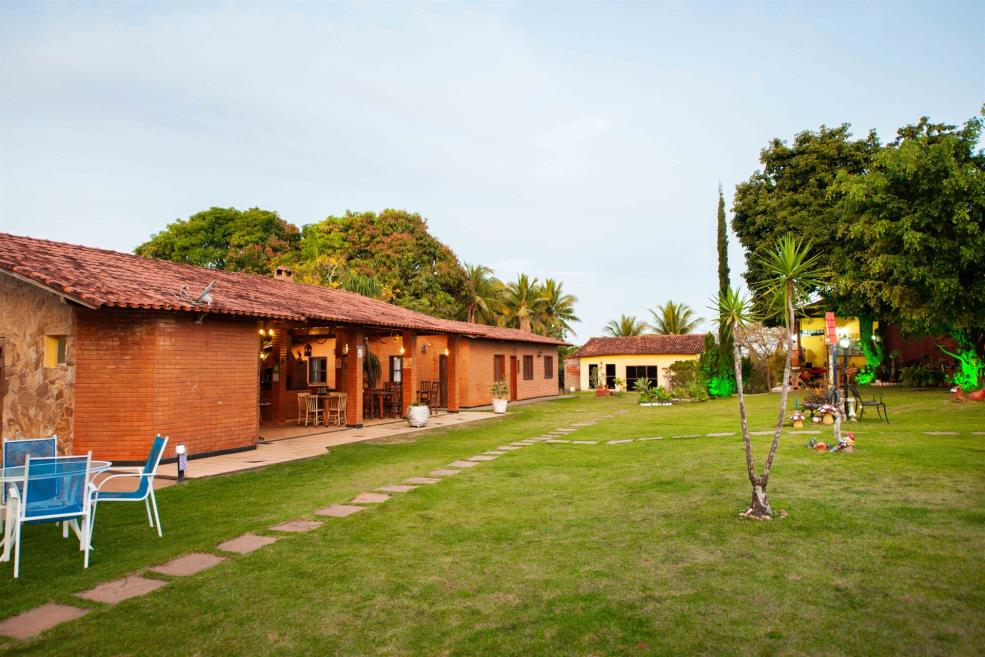 toca_leao_0784.jpg